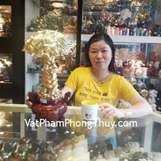Chị Nhất - khách hàng mua Cây phát tài F153