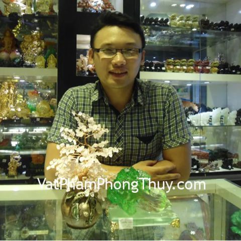 Anh Quân - khách hàng mua cây thạch anh hồng CA242 và bắp cải H198G