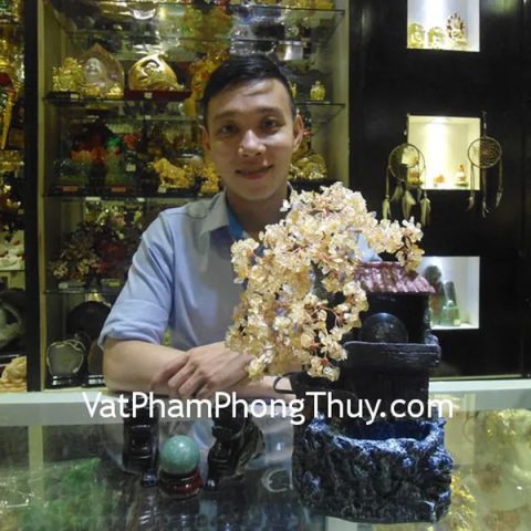 Anh Nghĩa - khách hàng mua cây tài lộc HCA255, tỳ hưu thạch anh đen HM012 và cầu ngọc đông linh HM158-431