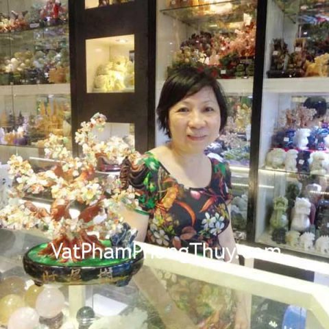 Cô Phụng - khách hàng mua Cây tài lộc nhiều màu KC003