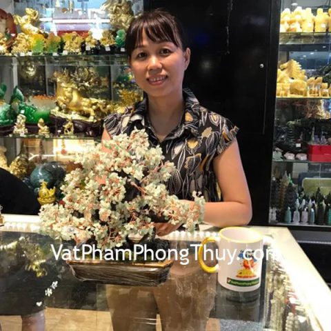 Chị Thơm - Khách hàng mua Cây tài lộc kiểu mới pháo hoa thạch anh xanh KC072