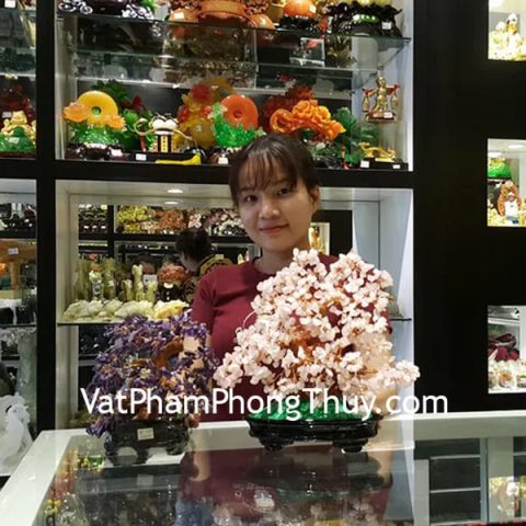 Chị Tiên - khách hàng mua cây tài lộc thạch anh hồng KC041 và chuỗi hạt lựu đỏ S6381-882
