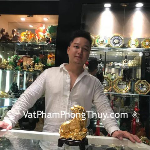 Anh Tân- Khách hàng mua Hổ vàng leo núi đế gỗ C123A