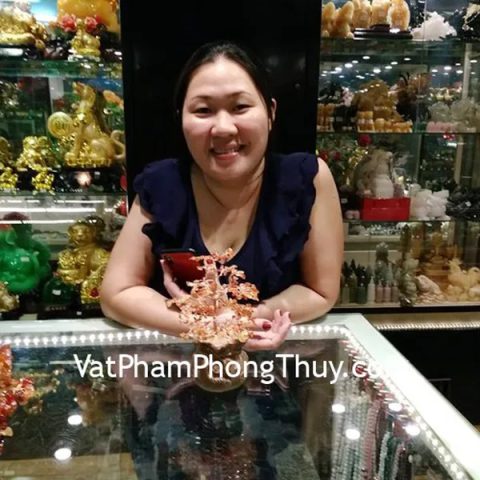 Chị Ánh - Khách hàng mua Cây tài lộc túi tiền mã não đỏ KC097