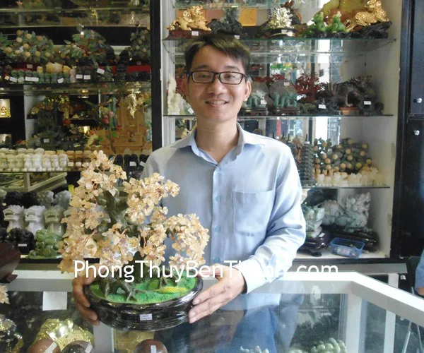 Anh Cao Hải - khách hàng mua cây tài lộc thạch anh vàng CA228