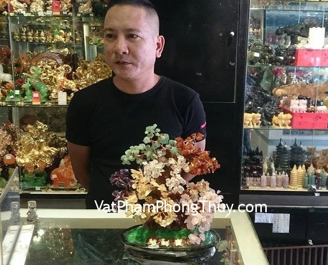 Anh Quang - Khách hàng mua cây tài lộc 6 màu HCA258
