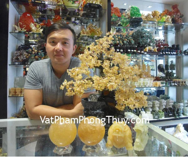Anh Vinh - khách hàng mua cây tài lộc HCA252, long quy hoàng long M038, cầu thạch anh vàng HM155 và rồng cẩm thạch nằm N076-1