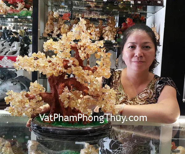 Chị Tuyền - khách hàng mua cây tài lộc thạch anh vàng KC031