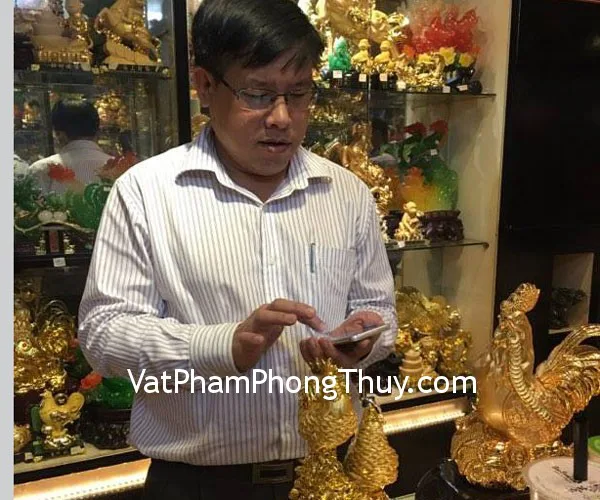 Anh Dũng - Khách hàng mua Gia đình gà G011A