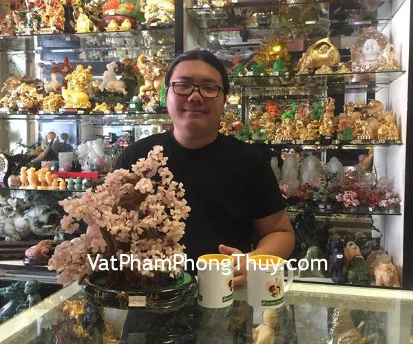 Anh Đạt- khách hàng  mua chuỗi ruby xanh đỏ S6244-S3-21795, cây tài lộc thạch anh hồng KC078, cây tài lộc thạch anh tím KC079 và hồ lô trơn nhỏ D206