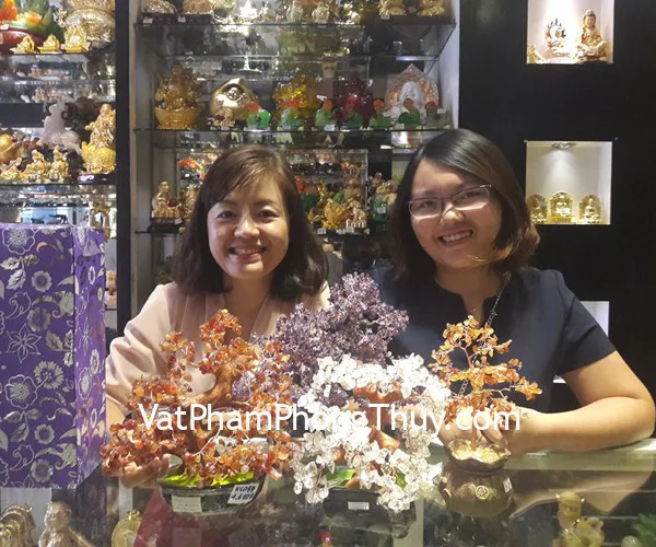 Chị Thảo - Khách hàng mua cây tài lộc thạch anh tím KC028
