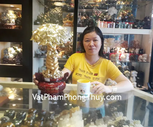 Chị Nhất - khách hàng mua Cây phát tài F153