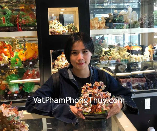 Chị Phương - khách hàng mua cây tài lộc nhiều màu KC024