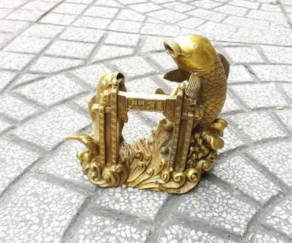 Song ngư đồng nhỏ D221