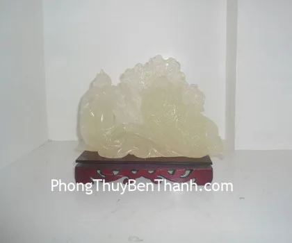 Cải thanh ngọc M164