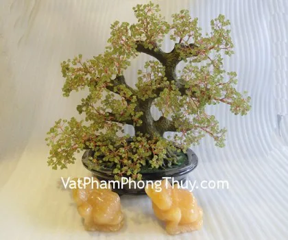 Cây đá cẩm lãm chậu nhỏ CA218
