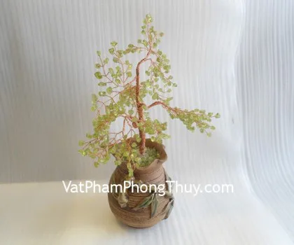 Cây cẩm lãm chậu cao kiểu mới CA243