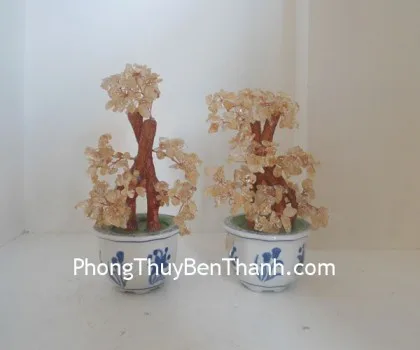 Cây thạch anh vàng bonsai,chậu tròn CA120