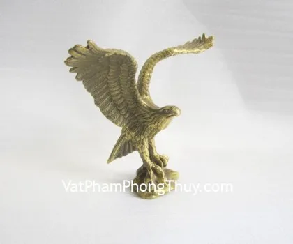 Đại bàng đồng nhỏ D141