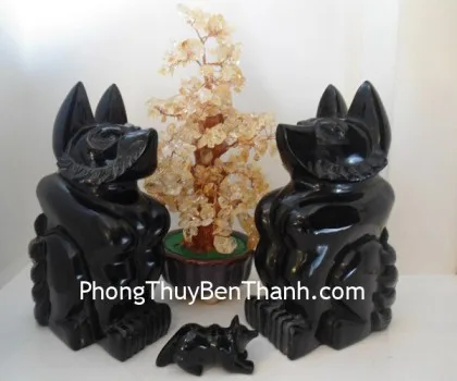 Hồ ly hắc ngà khủng K076
