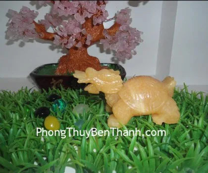 Rùa đầu rồng hoàng long trơn HM037