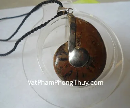 Ốc hóa thạch đeo cổ nhỏ K084