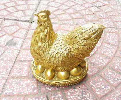 Gà mái đồng nhiều trứng lớn D249