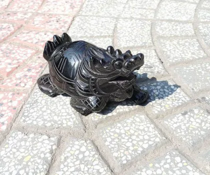 Rùa đầu rồng trơn đá hắc ngà lớn GM072